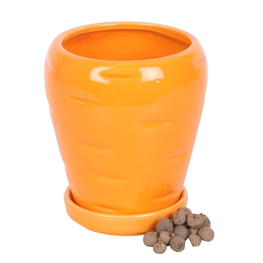 Carrot Shaped Plant Pot & Parsley Seeds